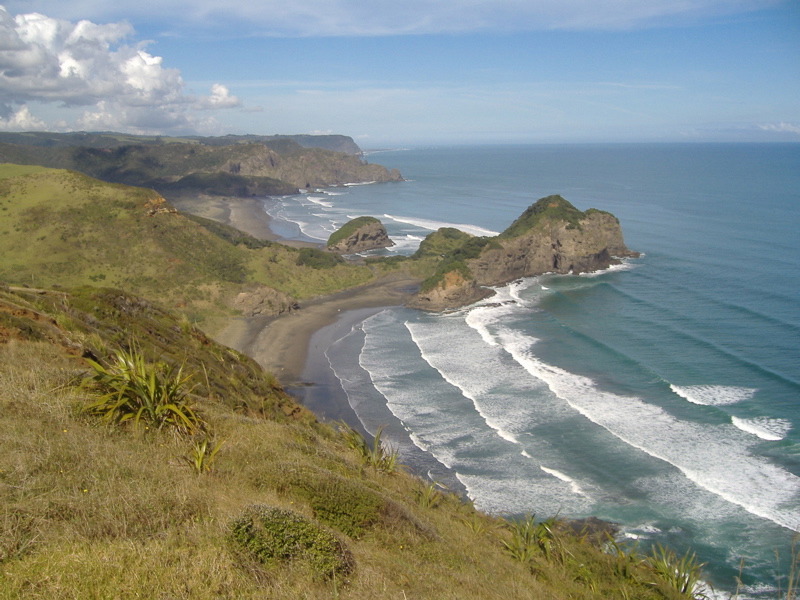 Bethell's Beach